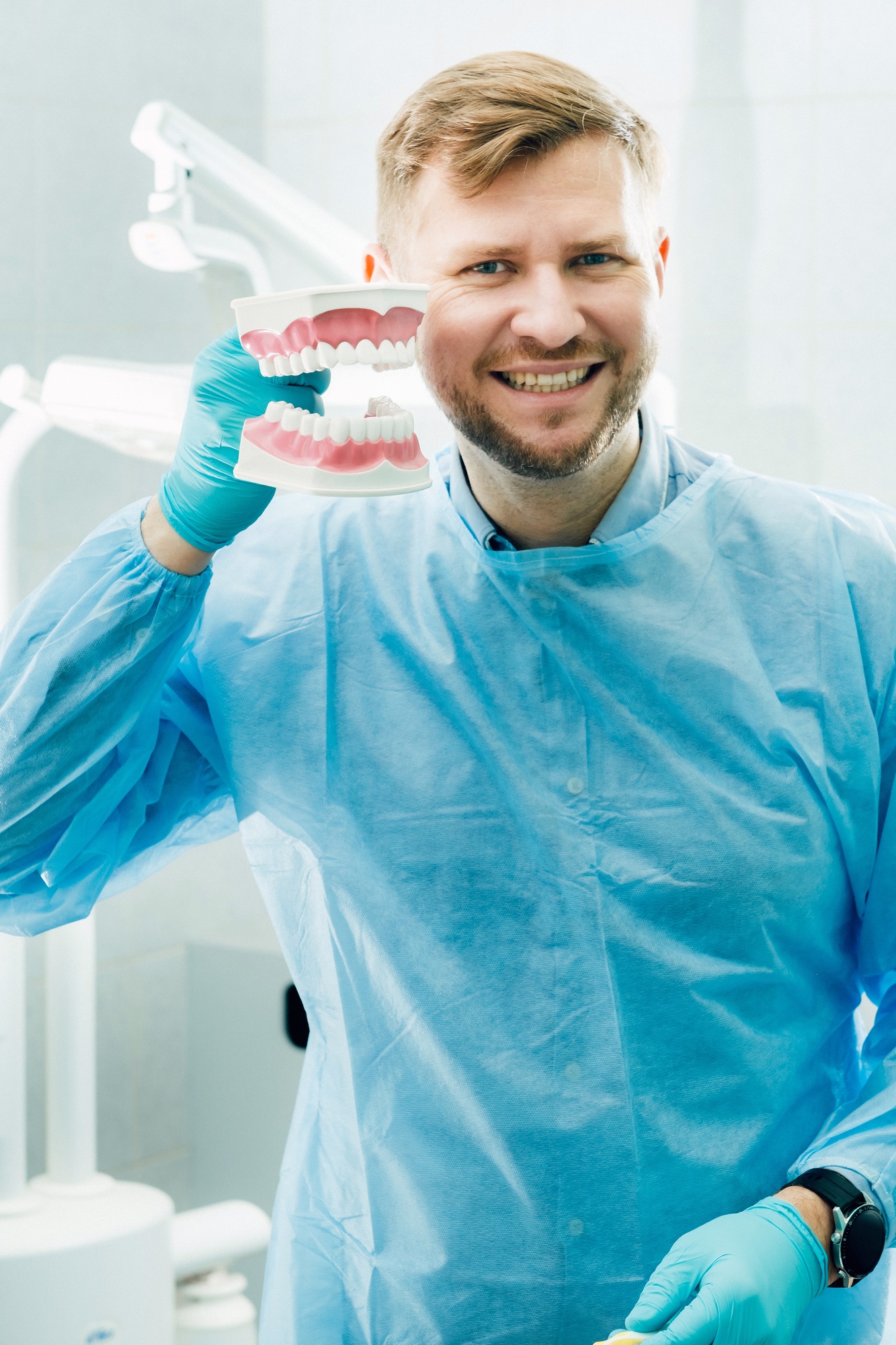 A model of a human jaw with teeth and a toothbrush in the dentist's hand